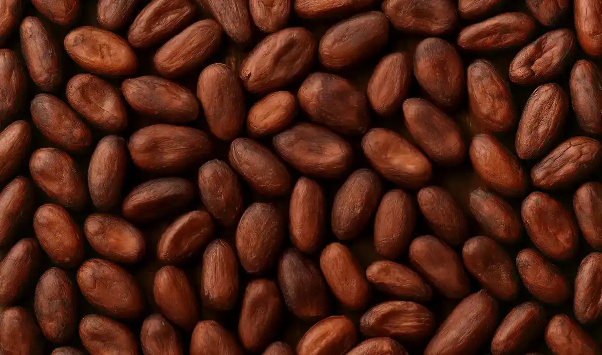 Wie roh ist Rohkakao?