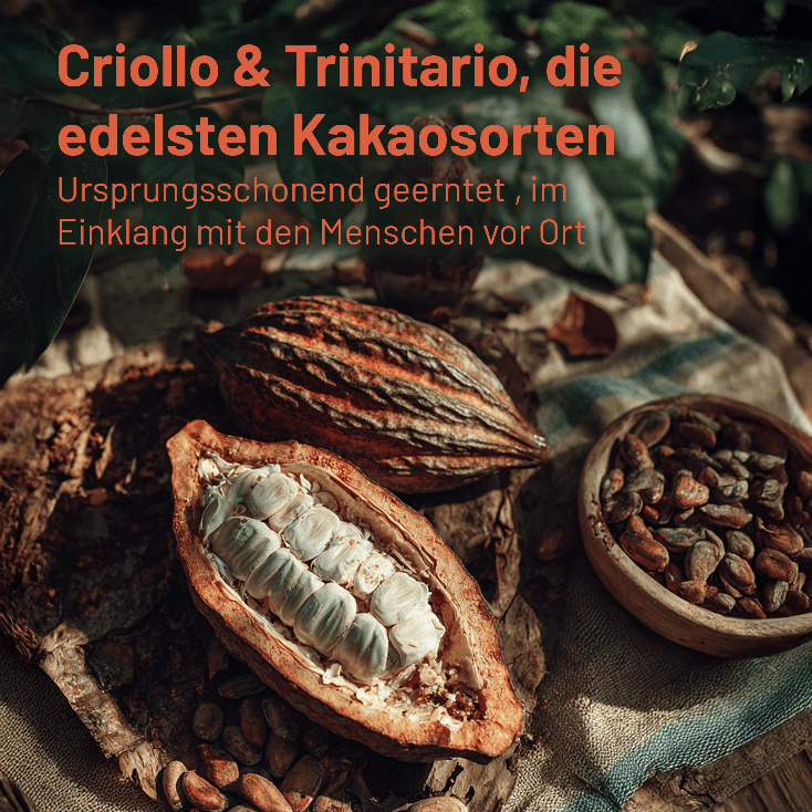 Probier-Set: Happy Color Trio + ShroomVital + Aufschäumer