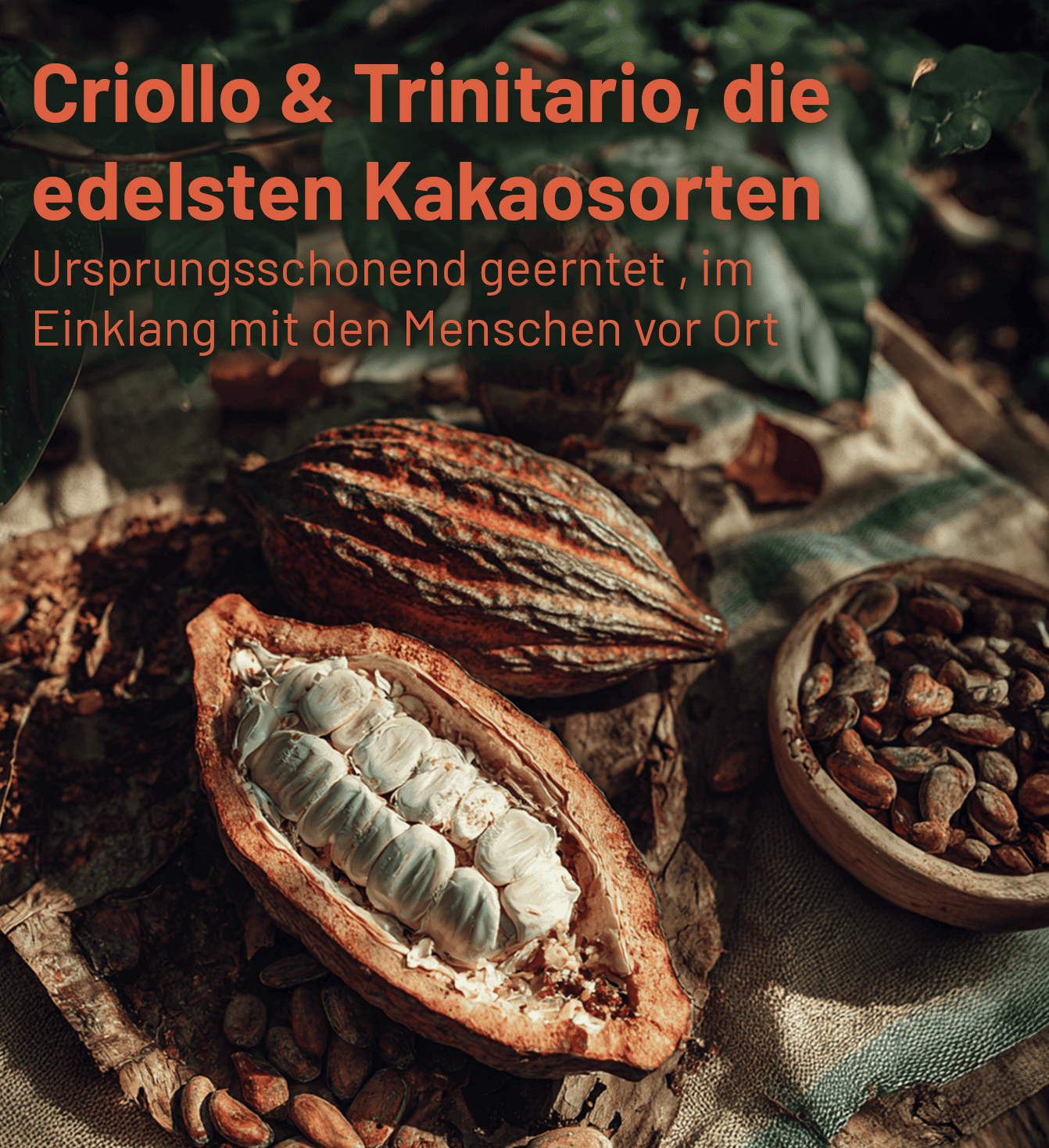 Kakaogranulat Intense